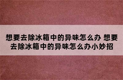 想要去除冰箱中的异味怎么办 想要去除冰箱中的异味怎么办小妙招